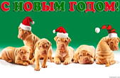 Открытка с Новым годом, животные, щенки-шарпеи в новогодних шапках Деда Мороза/Санта Клауса