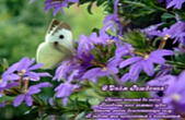Открытка с Днем Рождения с стихотворением, фиолетовые цветы и бабочка