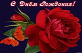 Открытка с Днем Рождения, цветы, красная роза и бабочка