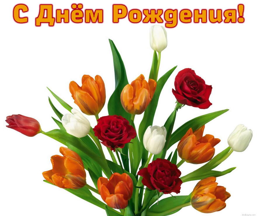 Открытка с Днем Рождения, цветы, тюльпаны