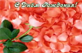 Открытка с Днем Рождения, цветы, коралловая роза, лепестки