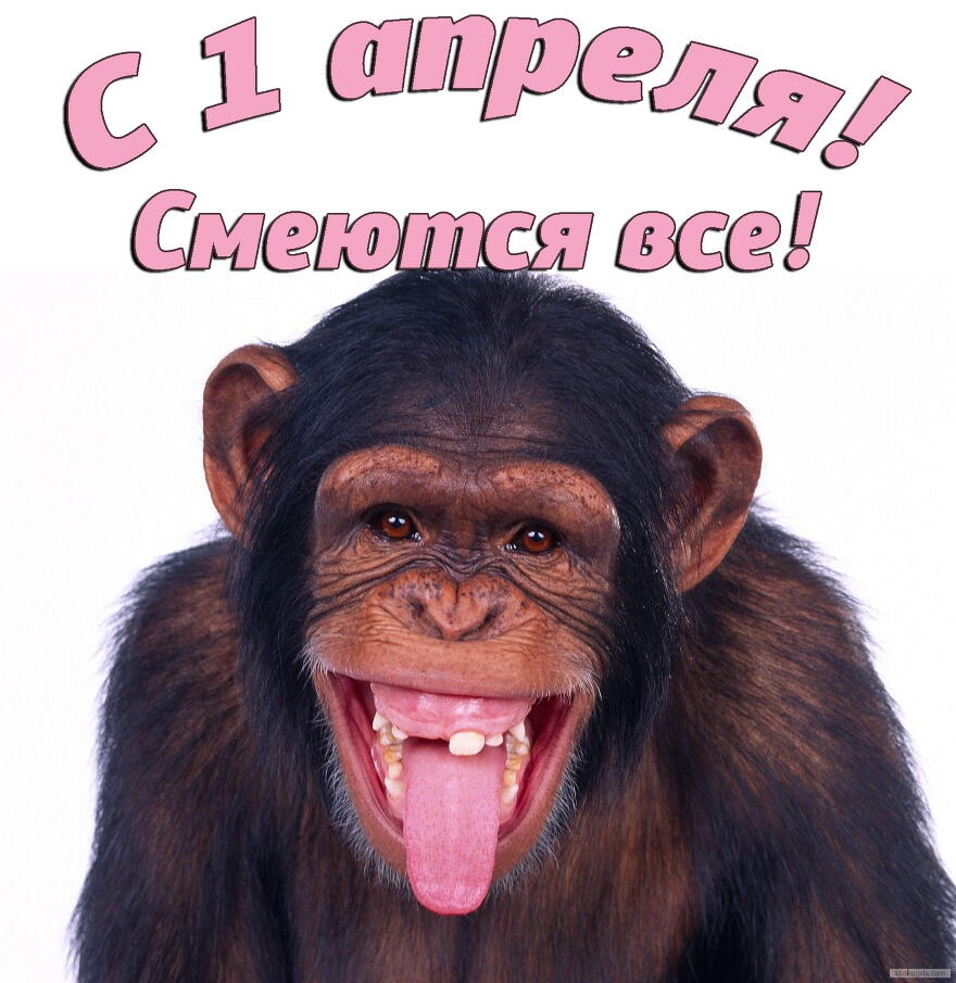 Открытка с 1 апреля, улыбающаяся обезьяна
