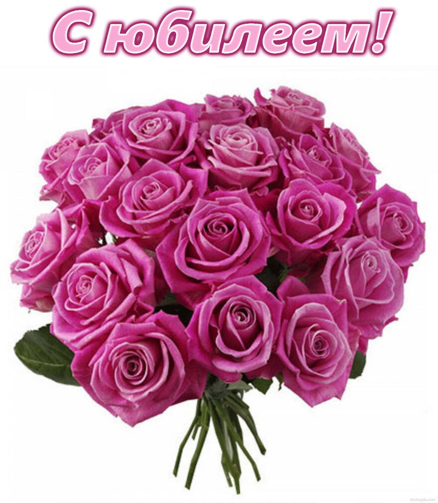 Открытка с юбилеем, цветы, букет из розовых роз