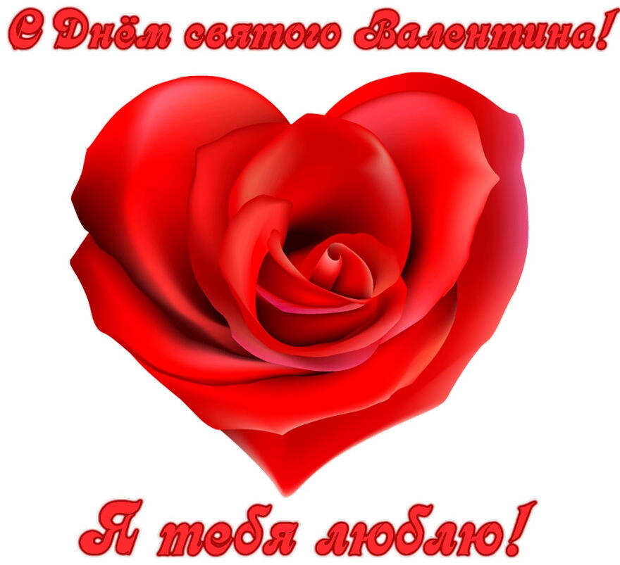 Открытка с Днем Святого Валентина, Я тебя люблю, сердце-роза