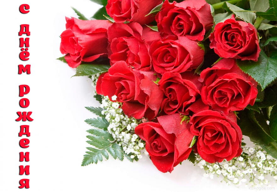 Открытка с Днем Рождения, цветы, красные розы, букет