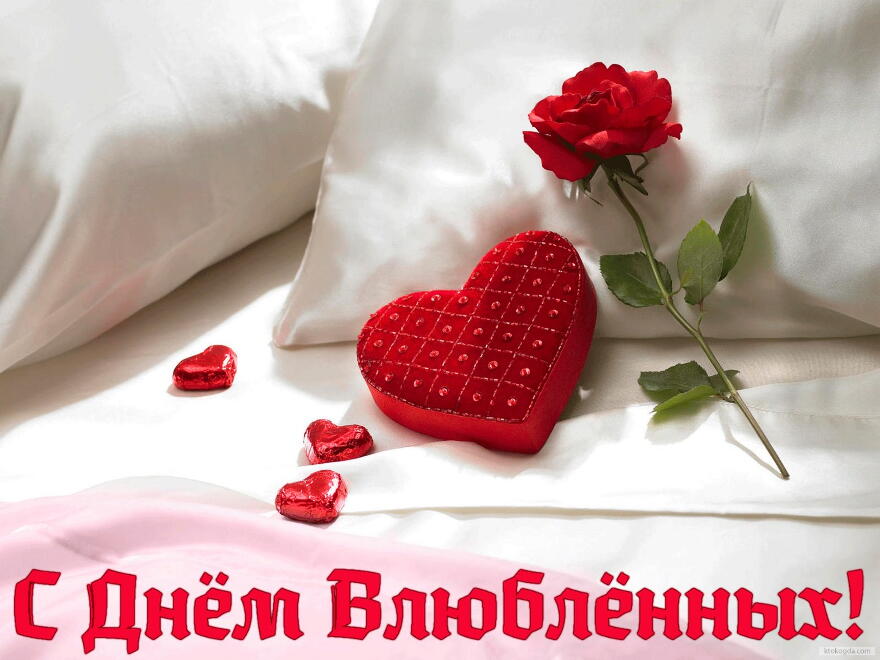 Открытка с Днем влюбленных, сердечки и роза