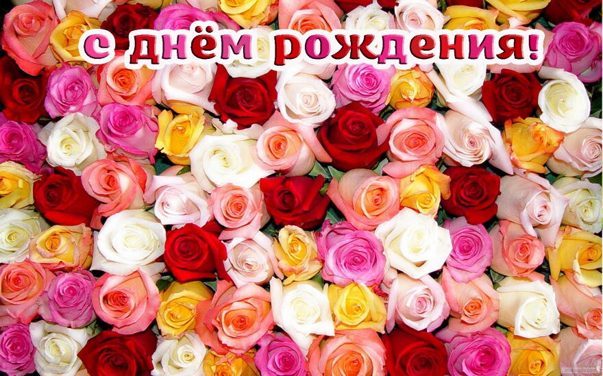 Открытка с Днем Рождения, цветы, розы