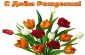 Открытка с Днем Рождения, цветы, тюльпаны