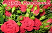 Открытка с Днем Рождения женщине, цветы, красные розы