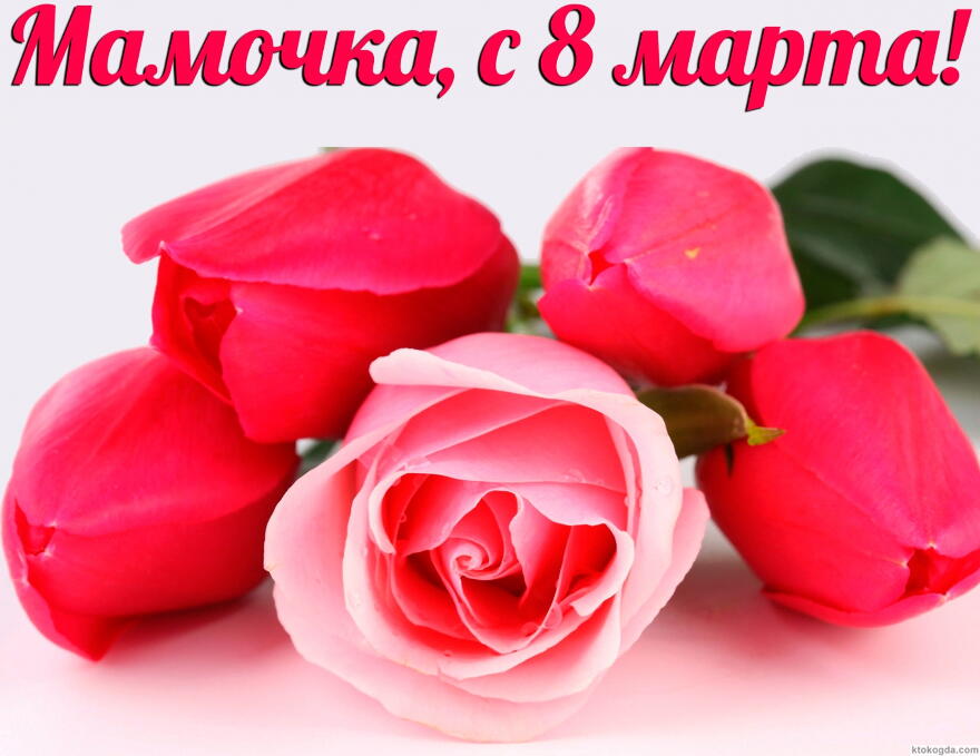 Открытка с 8 марта, мамочка, тюльпаны и роза