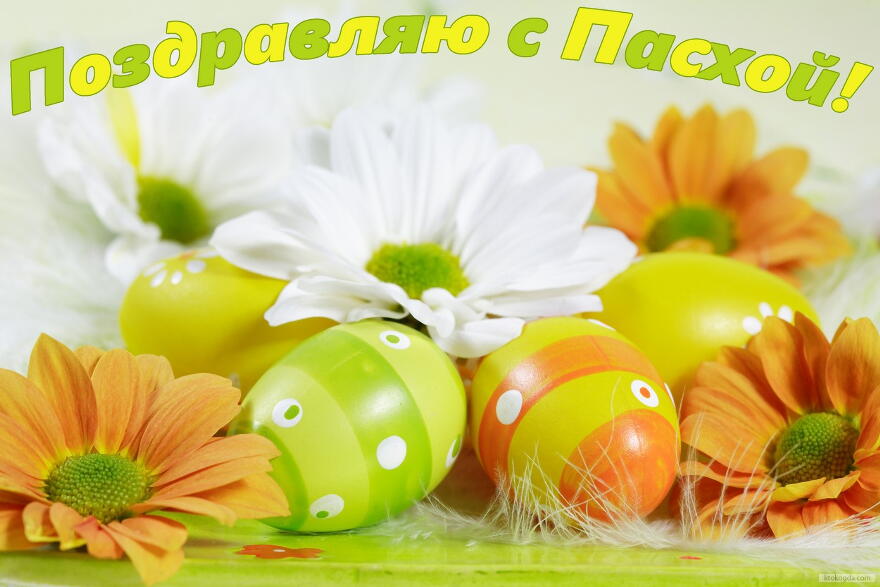 Открытка Поздравляю с Пасхой, яйца, цветы