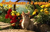 Открытка поздравляю с 8 марта, тюльпаны и котенок