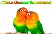 Открытка с Днем Святого Валентина, попугаи-неразлучники