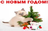 Открытка с Новым годом, животные, котенок и новогодняя елка