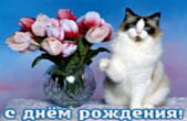 Открытка с Днем Рождения, животные, кот и букет тюльпанов