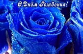 Открытка с Днем Рождения, цветы, синие розы
