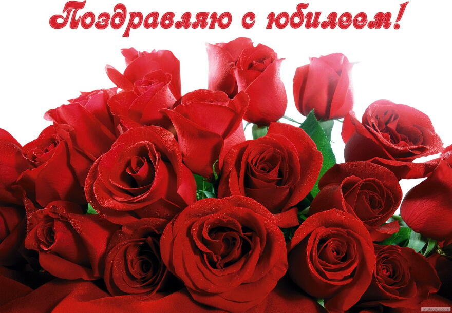 Открытка Поздравляю с юбилеем с пожеланием, цветы, красные розы