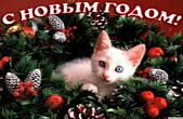 Открытка с Новым годом, животные, котенок и елка