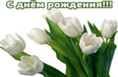 Открытка с Днем Рождения женщине, цветы, белые тюльпаны