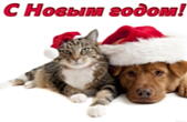Открытка с Новым годом, животные, кот и собака в новогодних шапках Деда Мороза/Санта Клауса