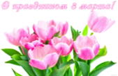 Открытка с праздником 8 марта, тюльпаны