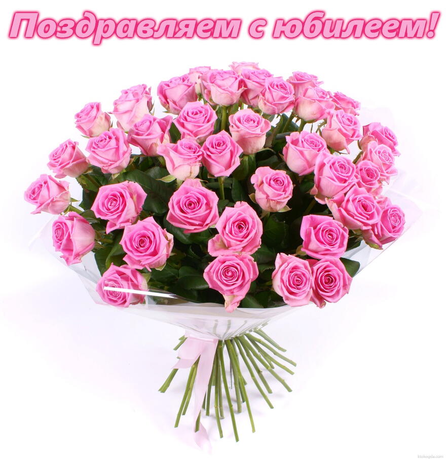 Открытка Поздравляем с юбилеем, цветы, букет из розовых роз