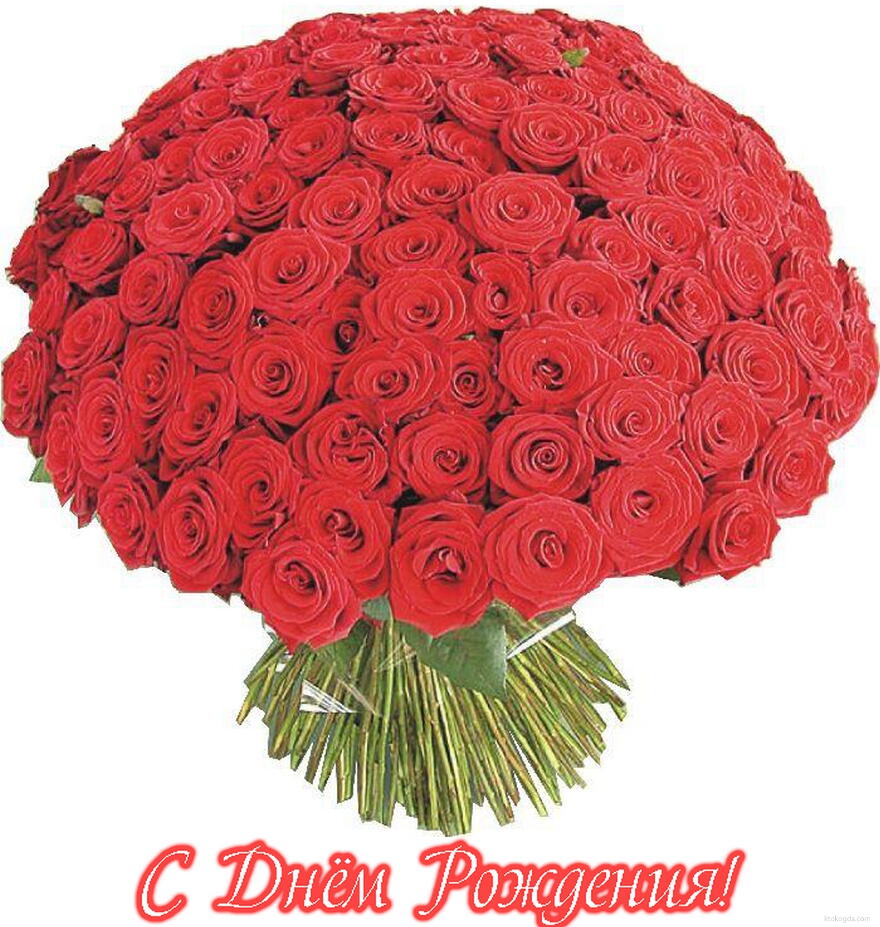Открытка с Днем Рождения, цветы, букет из красных роз