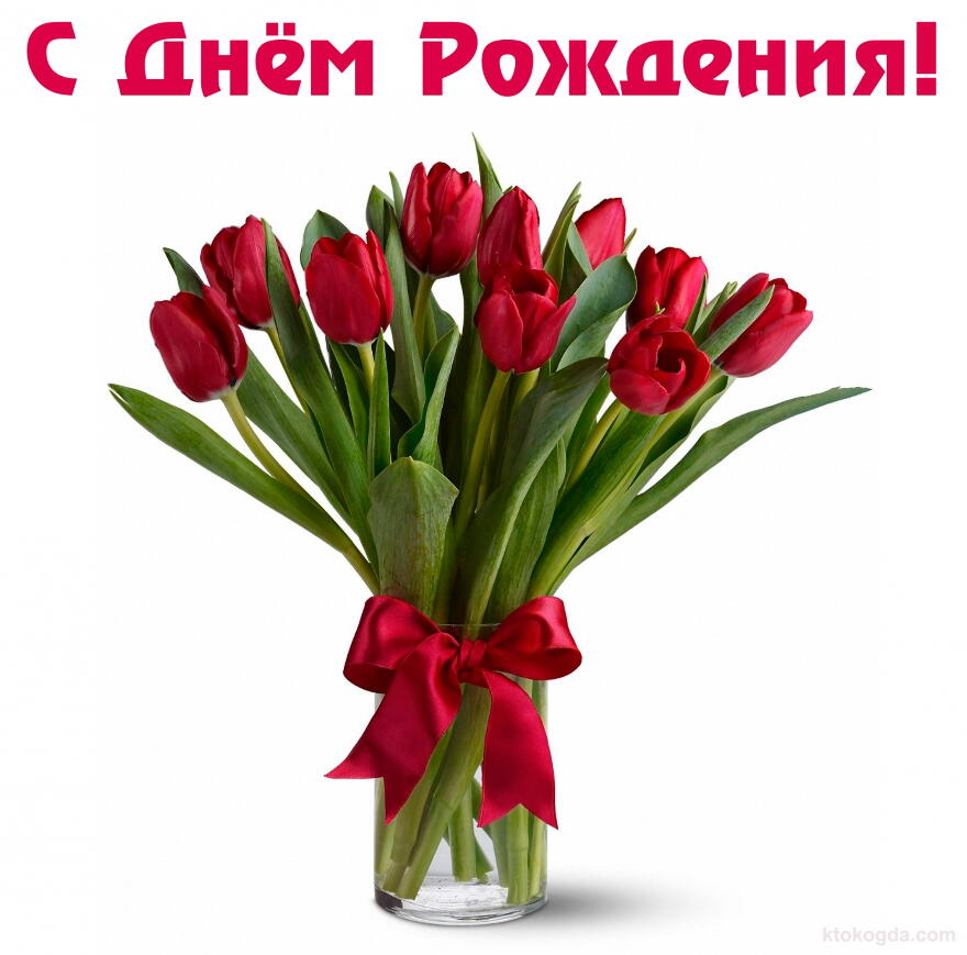 Открытка с Днем Рождения, цветы, тюльпаны, лента