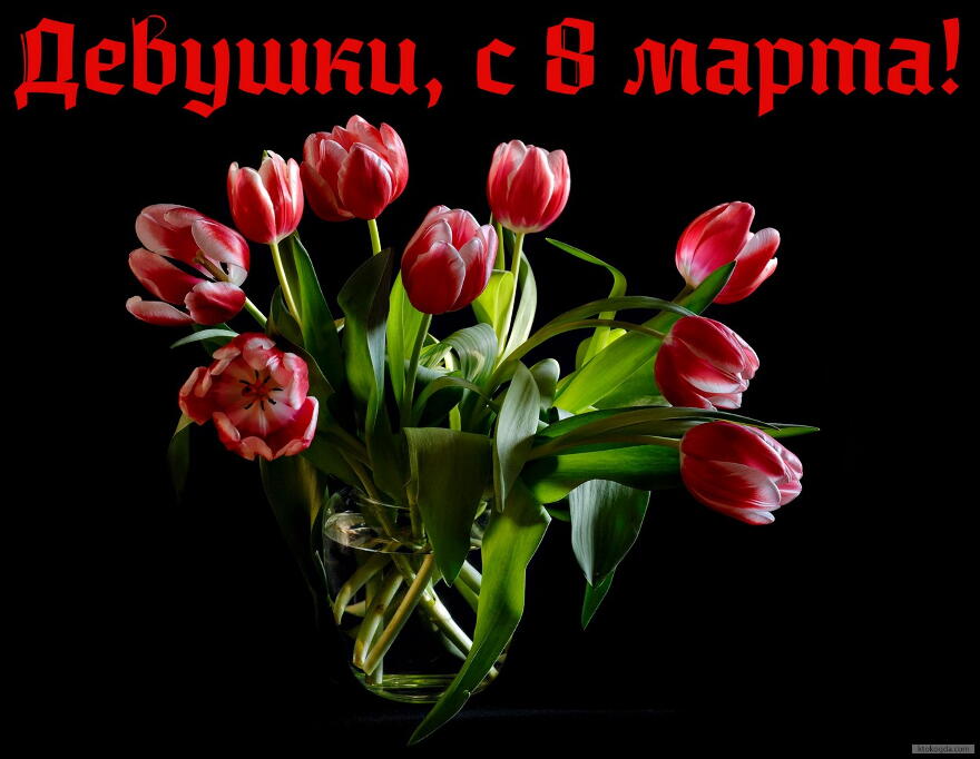 Открытка с 8 марта, девушки, тюльпаны