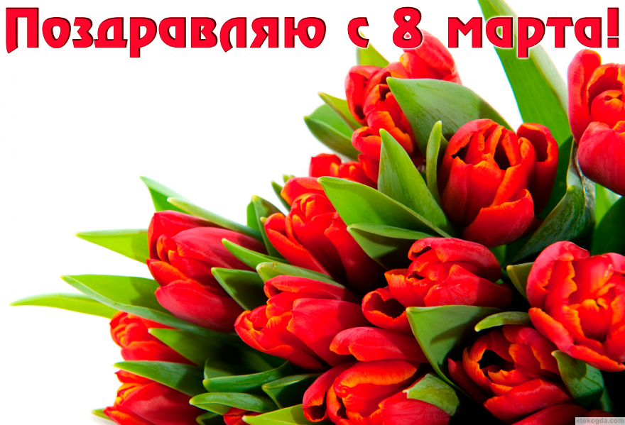 Открытка с 8 марта, алые тюльпаны
