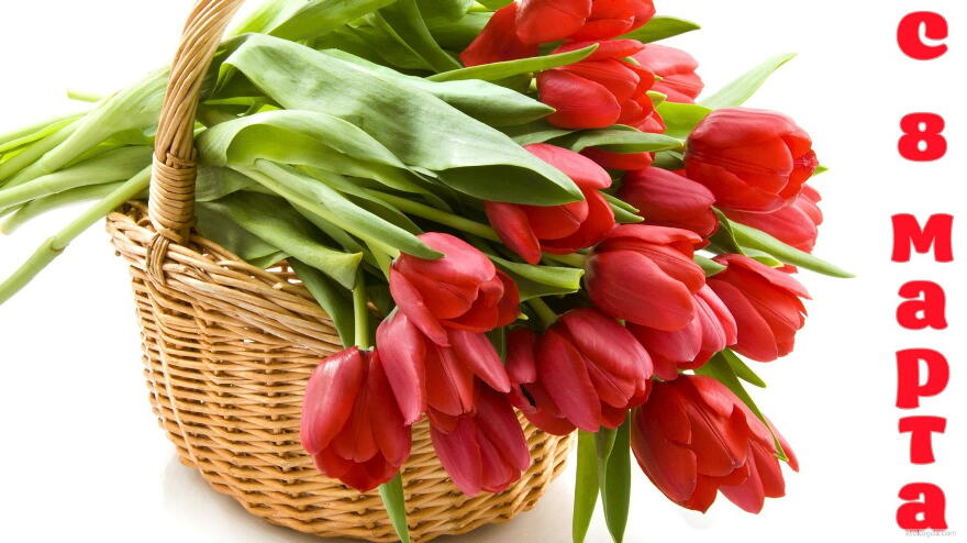Открытка с 8 марта, тюльпаны в корзине
