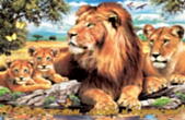 Открытка с Днем семьи, любви и верности, семья львов