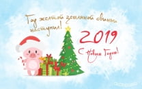 Год 2019 желтой земляной свиньи наступил