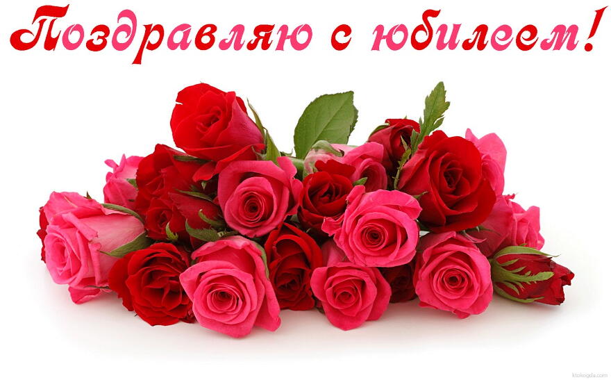 Открытка Поздравляю с юбилеем, цветы, красные и розовые розы