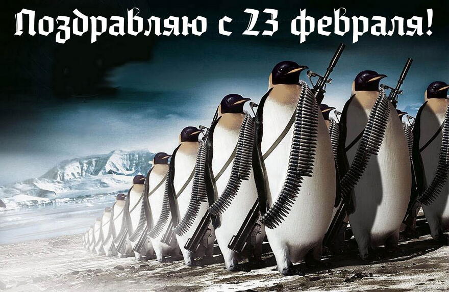 Открытка Поздравляю с 23 февраля прикольная, пингвины