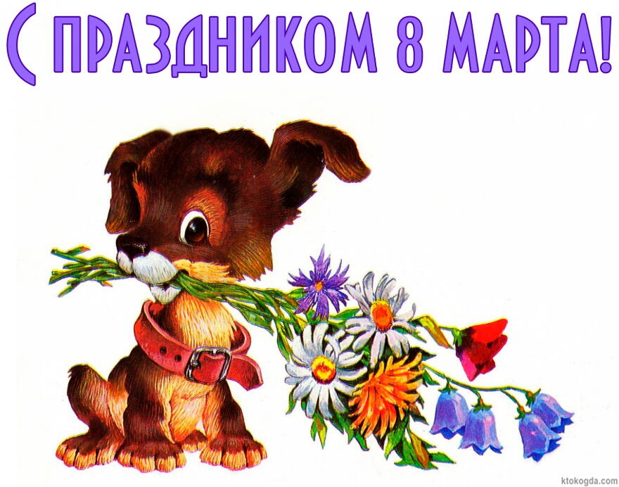 Открытка с праздником 8 марта, цветы и собачка