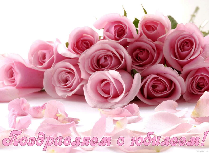 Открытка Поздравляем с юбилеем, цветы, розовые розы