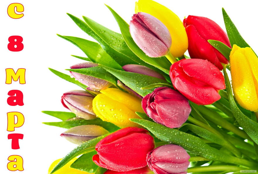 Открытка с 8 марта, тюльпаны
