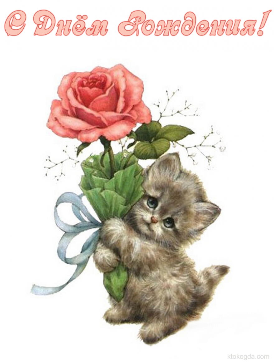 Открытка с Днем Рождения, котенок и цветок