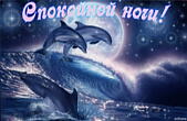 Открытка спокойной ночи, животные, дельфины