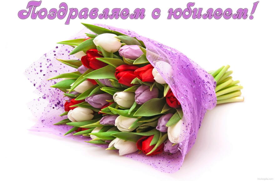 Открытка Поздравляем с юбилеем для женщины, цветы, букет из тюльпанов