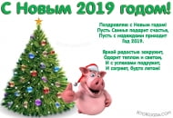 Открытка с Новым 2019 годом, год свиньи, с пожеланием