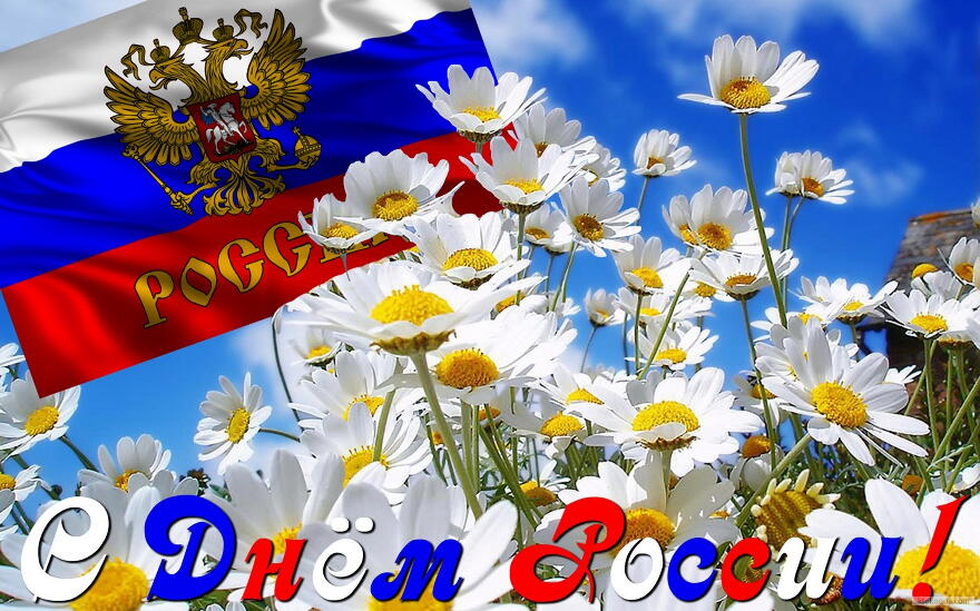 Открытка с Днем России, флаг и ромашки