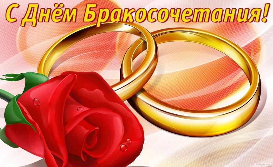 Открытка с Днем бракосочетания, роза и обручальные кольца