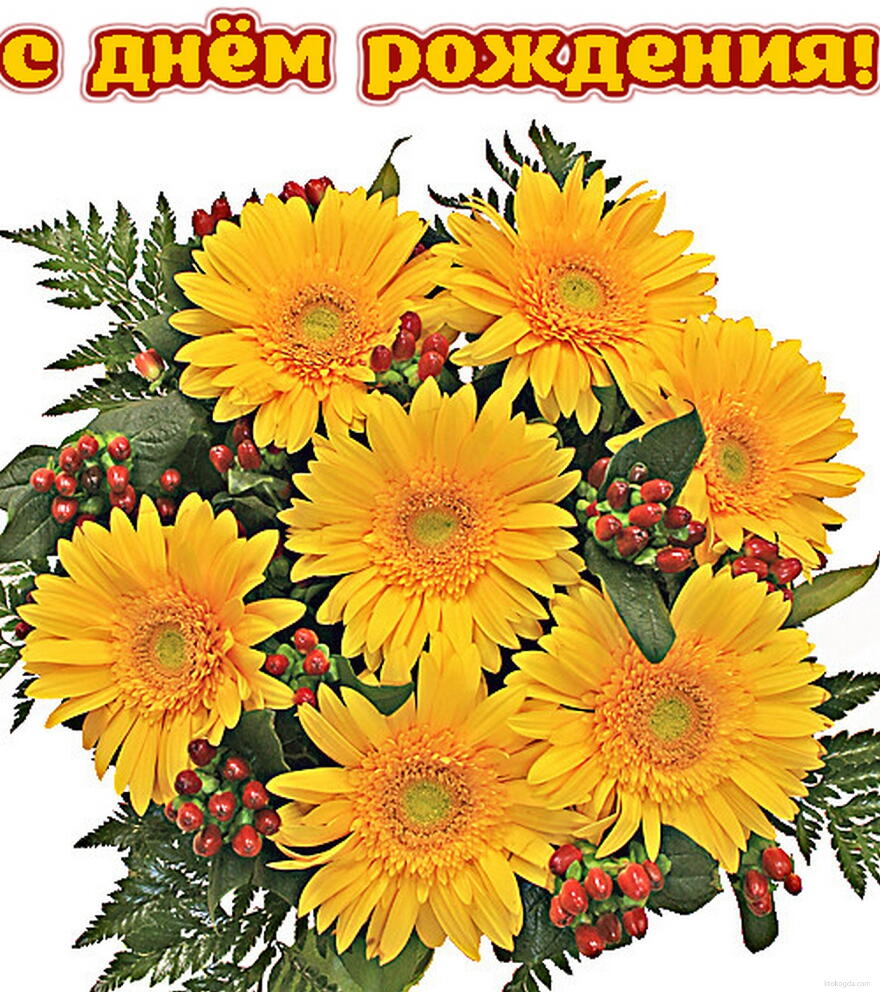 Открытка с Днем Рождения  женщине, цветы, букет из желтых гербер