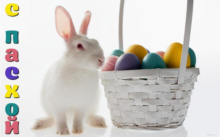 Открытка с Пасхой, пасхальные яйца и кролик