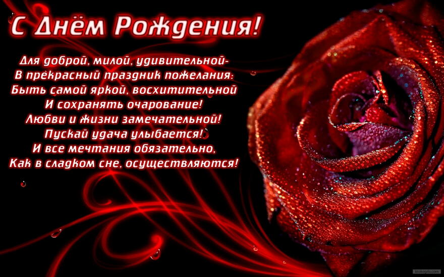 Открытка с Днем Рождения, цветы, красная роза, черный фон