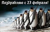 Открытка Поздравляю с 23 февраля прикольная, пингвины
