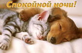 Открытка спокойной ночи, котенок и щенок