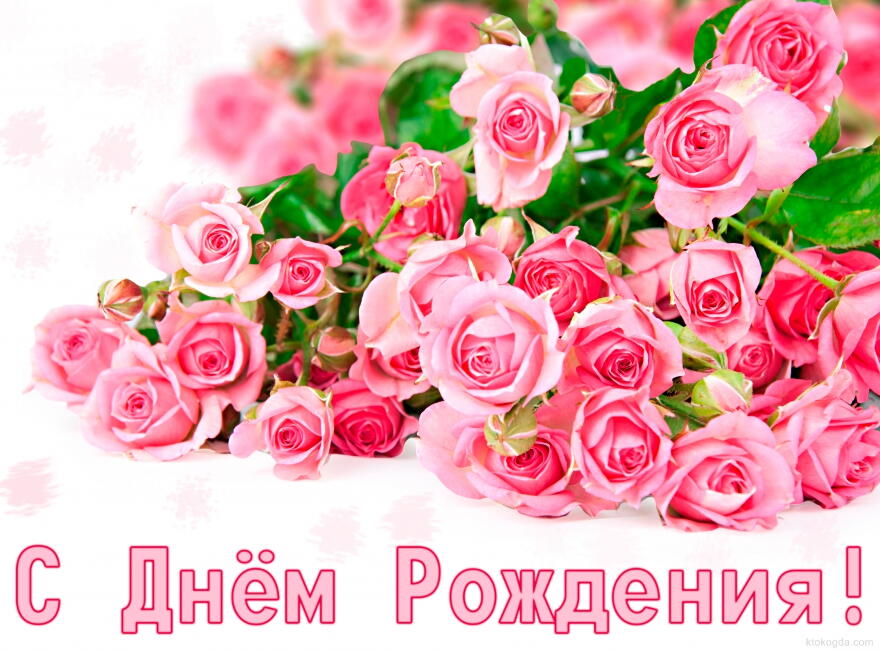 Открытка с Днем Рождения для девушки, розы